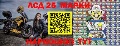 сатива Апшеронск