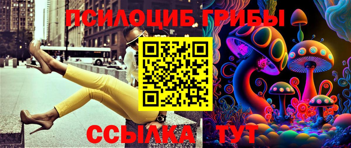 Псилоцибиновые грибы мицелий  Вход с VPN  Воткинск  Галлюциногенные грибы MAGIC MUSHROOMS 